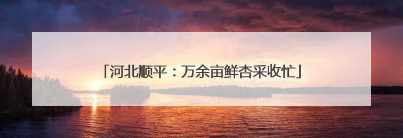 河北顺平：万余亩鲜杏采收忙