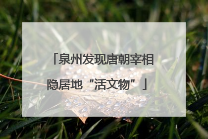 泉州发现唐朝宰相隐居地“活文物”