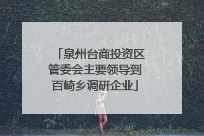 泉州台商投资区管委会主要领导到百崎乡调研企业