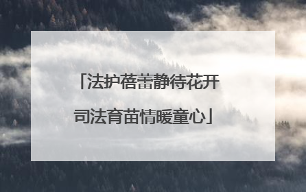 法护蓓蕾静待花开 司法育苗情暖童心