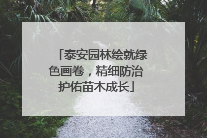 泰安园林绘就绿色画卷，精细防治护佑苗木成长