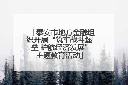 泰安市地方金融组织开展“筑牢战斗堡垒 护航经济发展”主题教育活动
