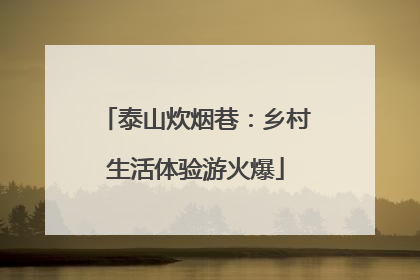 泰山炊烟巷：乡村生活体验游火爆