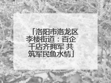 洛阳市洛龙区李楼街道：百企千店齐拥军 共筑军民鱼水情