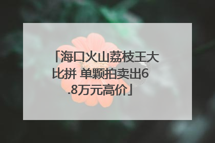 海口火山荔枝王大比拼 单颗拍卖出6.8万元高价