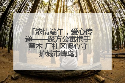 浓情端午，爱心传递——魔方公寓携手黄木 厂社区暖心守护城市蜂鸟