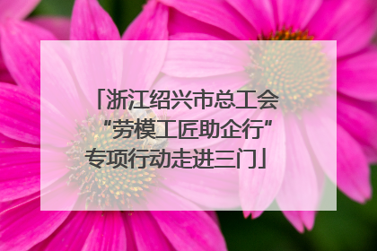 浙江绍兴市总工会“劳模工匠助企行”专项行动走进三门