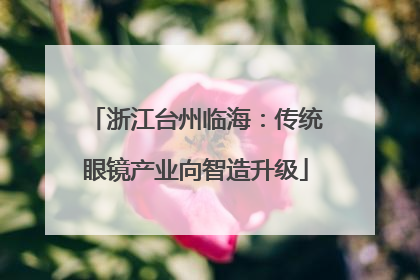 浙江台州临海：传统眼镜产业向智造升级