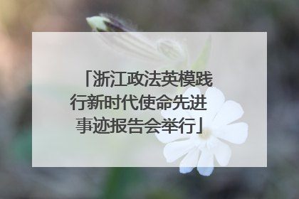 浙江政法英模践行新时代使命先进事迹报告会举行