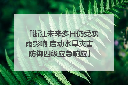 浙江未来多日仍受暴雨影响 启动水旱灾害防御四级应急响应