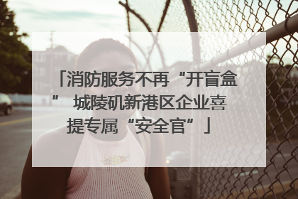 消防服务不再“开盲盒” 城陵矶新港区企业喜提专属“安全官”