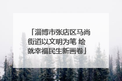 淄博市张店区马尚街道以文明为笔 绘就幸福民生新画卷