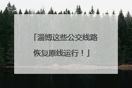 淄博这些公交线路恢复原线运行！