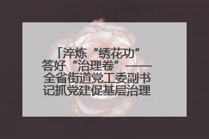 淬炼“绣花功” 答好“治理卷”——全省街道党工委副书记抓党建促基层治理培训示范班侧记