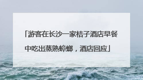 游客在长沙一家桔子酒店早餐中吃出蒸熟蟑螂，酒店回应