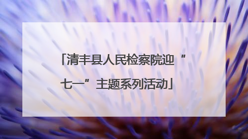 清丰县人民检察院迎“七一”主题系列活动