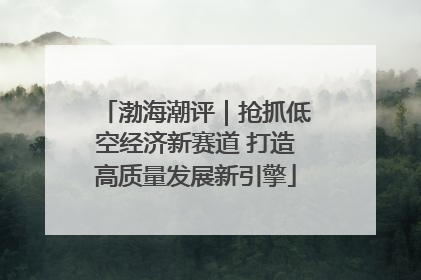 渤海潮评｜抢抓低空经济新赛道 打造高质量发展新引擎