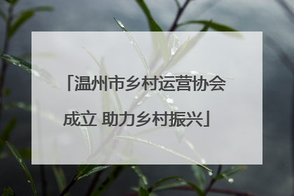 温州市乡村运营协会成立 助力乡村振兴