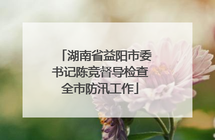 湖南省益阳市委书记陈竞督导检查全市防汛工作