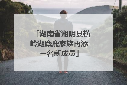 湖南省湘阴县横岭湖麋鹿家族再添三名新成员