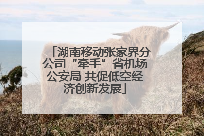 湖南移动张家界分公司“牵手”省机场公安局 共促低空经济创新发展