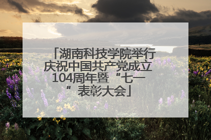 湖南科技学院举行庆祝中国共产党成立104周年暨“七一”表彰大会