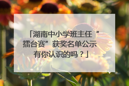 湖南中小学班主任“擂台赛”获奖名单公示 有你认识的吗？