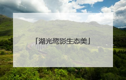 湖光鹭影生态美