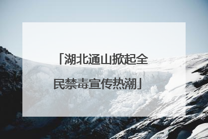 湖北通山掀起全民禁毒宣传热潮