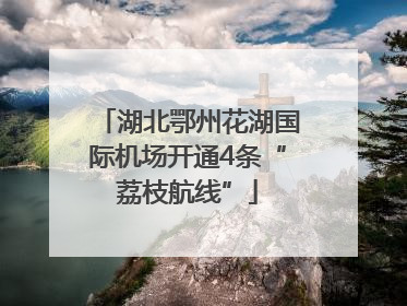 湖北鄂州花湖国际机场开通4条“荔枝航线”