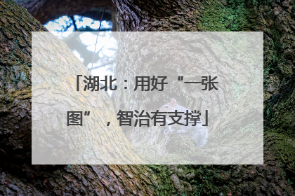 湖北：用好“一张图”，智治有支撑