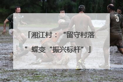 湘江村：“留守村落”蝶变“振兴标杆”