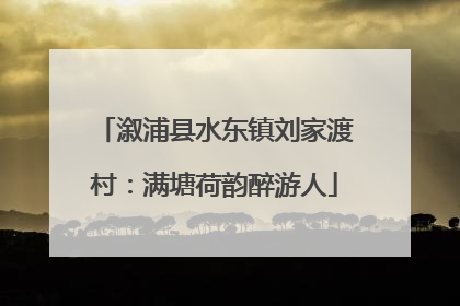 溆浦县水东镇刘家渡村：满塘荷韵醉游人