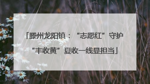滕州龙阳镇:“志愿红”守护“丰收黄”夏收一线显担当