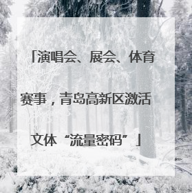 演唱会、展会、体育赛事，青岛高新区激活文体“流量密码”