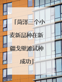 菏泽三个小麦新品种在新疆戈壁滩试种成功