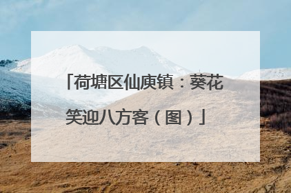 荷塘区仙庾镇：葵花笑迎八方客（图）