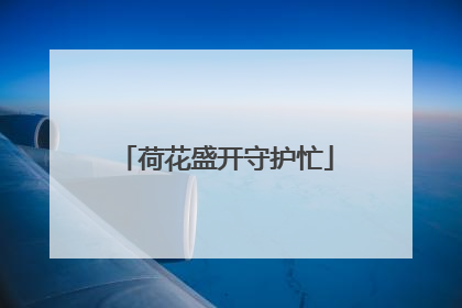 荷花盛开守护忙