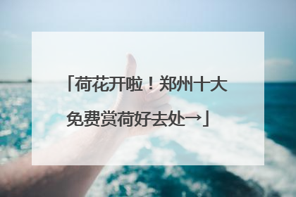 荷花开啦！郑州十大免费赏荷好去处→