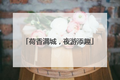 荷香满城，夜游添趣