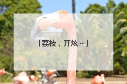 荔枝，开炫～