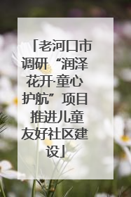 老河口市调研“润泽花开·童心护航”项目 推进儿童友好社区建设