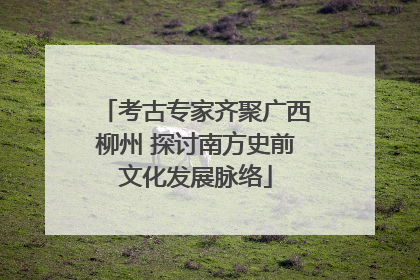 考古专家齐聚广西柳州 探讨南方史前文化发展脉络