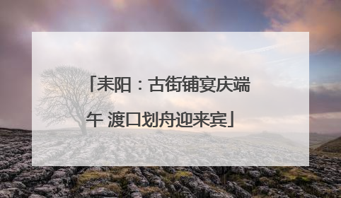 耒阳：古街铺宴庆端午 渡口划舟迎来宾