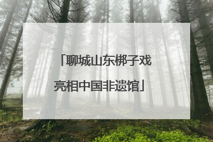 聊城山东梆子戏亮相中国非遗馆