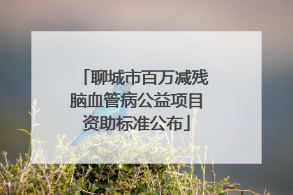 聊城市百万减残脑血管病公益项目资助标准公布