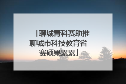 聊城青科赛助推聊城市科技教育省赛硕果累累