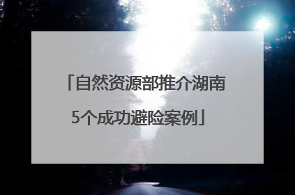 自然资源部推介湖南5个成功避险案例