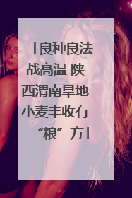 良种良法战高温 陕西渭南旱地小麦丰收有“粮”方