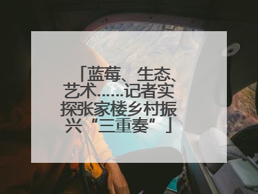 蓝莓、生态、艺术……记者实探张家楼乡村振兴“三重奏”